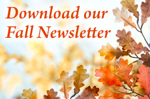 Download Our Newsletter